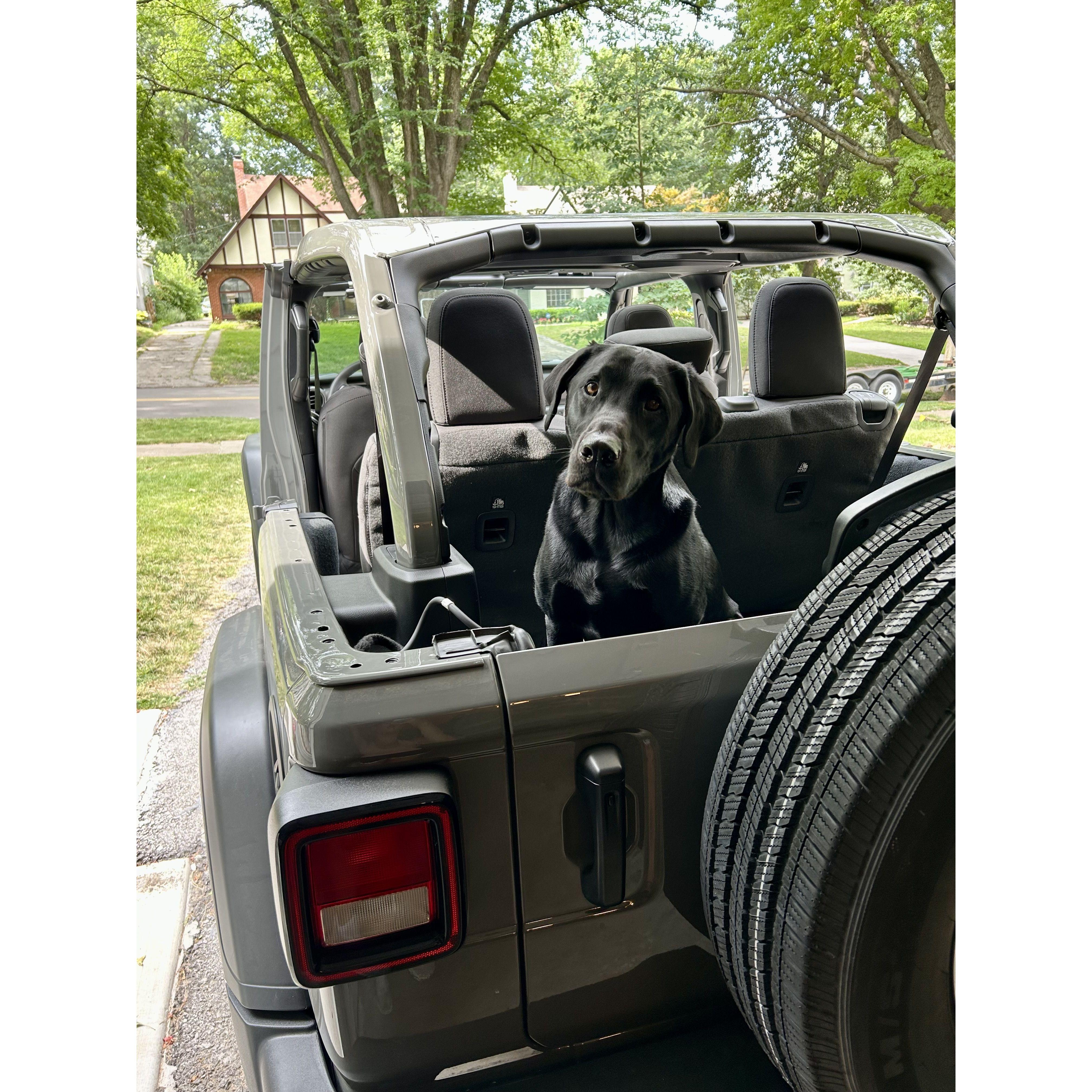 Oakley and his new jeep