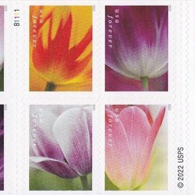 USPS 2023 Tulip Blossom Forever First Class Postage Stamps (20 Count Booklet)
