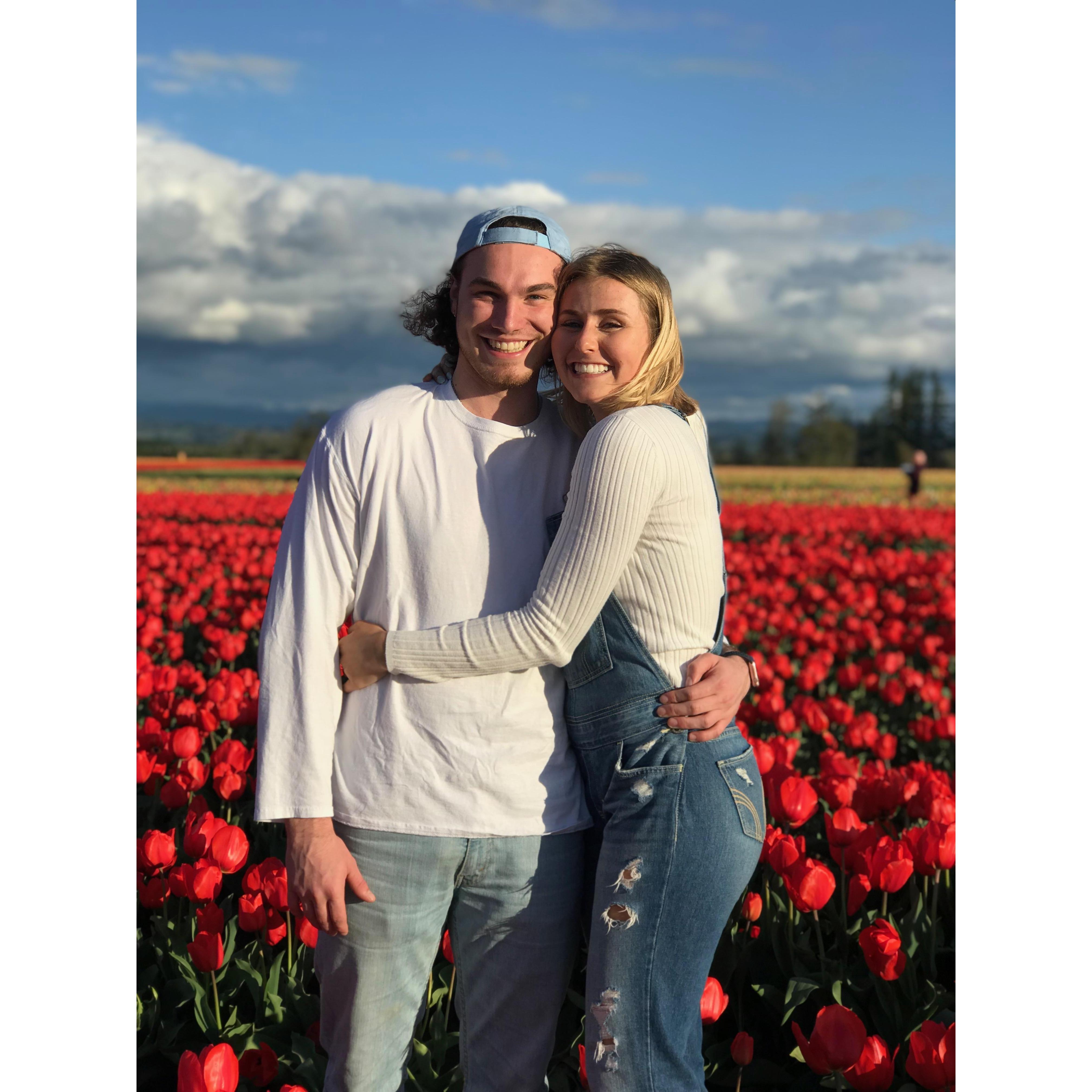 trip to the tulip fields in april