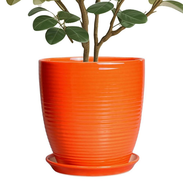EPFamily Ceramic Planter - 10 Inch Plant Pot for Indoor Outdoor, Modern Planters with Drainage Hole and Saucer, Round Large Plant Pot, Patio Room House Decor, House Warming Gifts, Orange