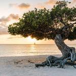 Eagle Beach