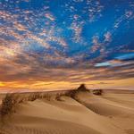 Sand Dunes at Jockey's Ridge State Park