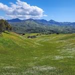 Pacheco State Park