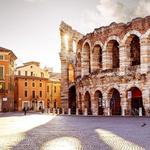 The Arena