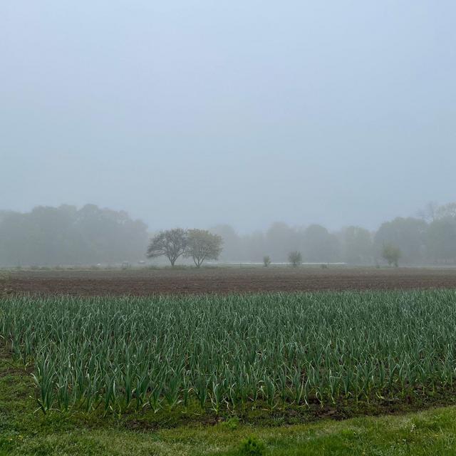 Donation to Waltham Fields Community Farm