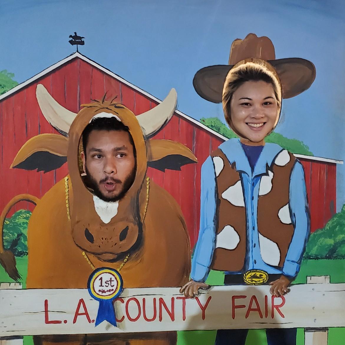 The cow goes Moo