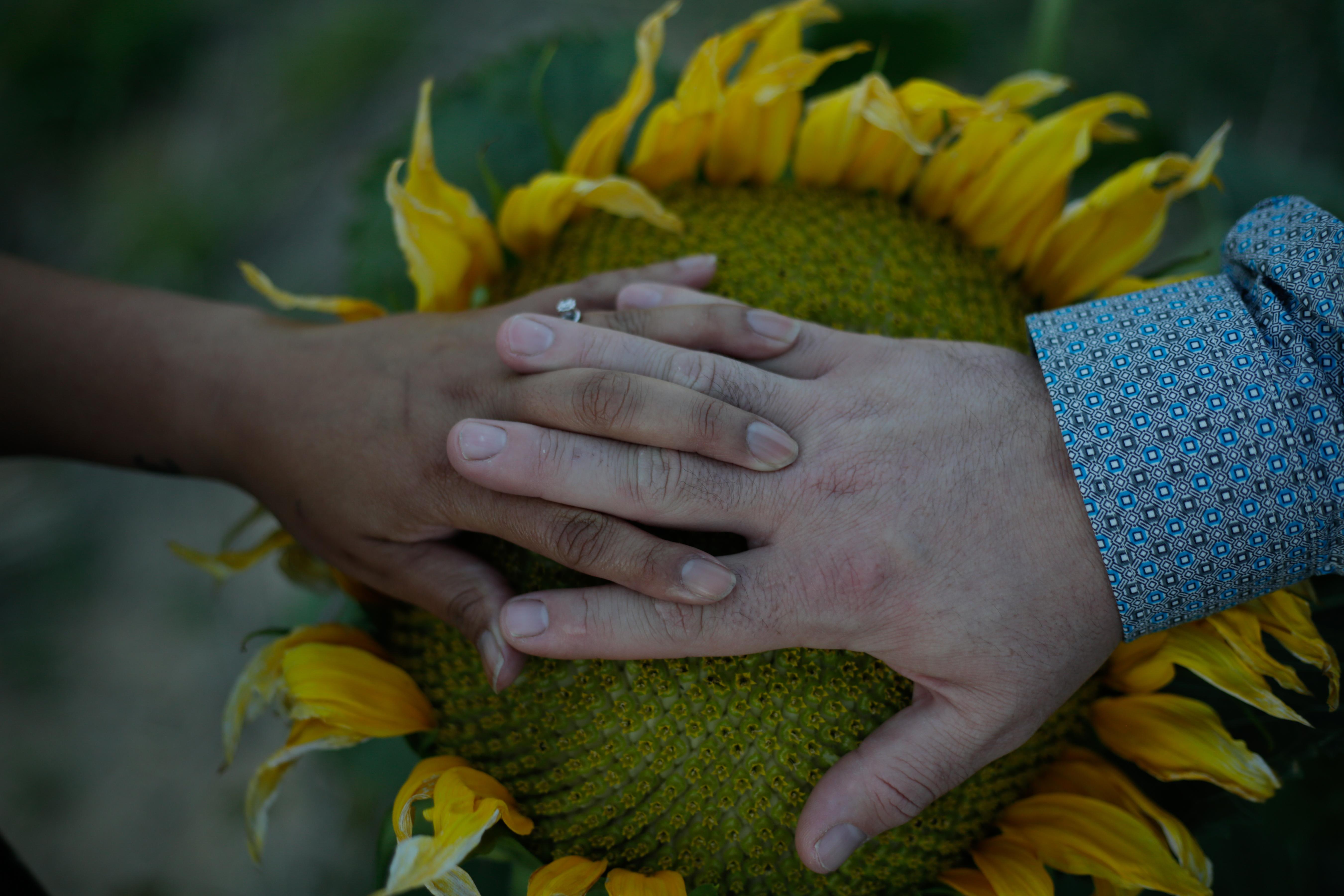 The Wedding Website of Felicia Taylor and Kevin Crane