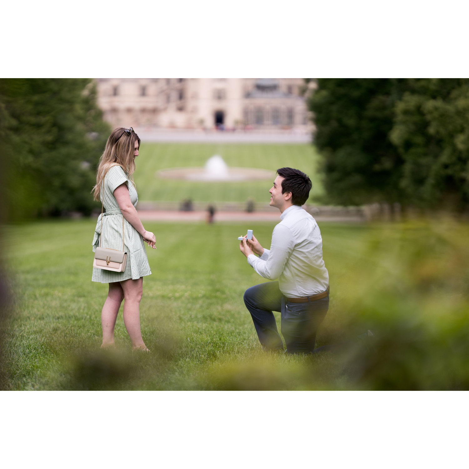 The Proposal