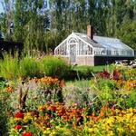 King's Garden