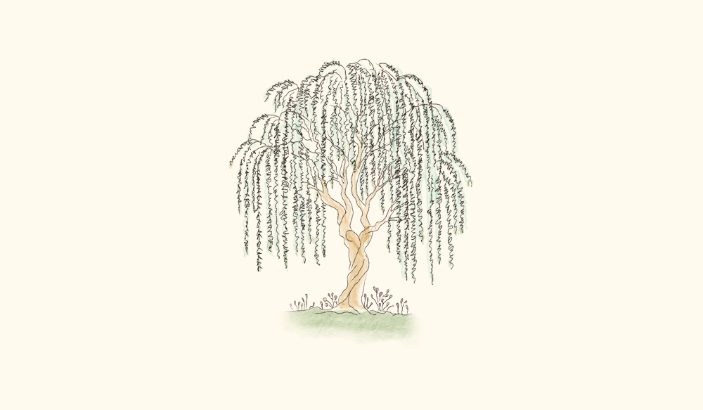 Footer image