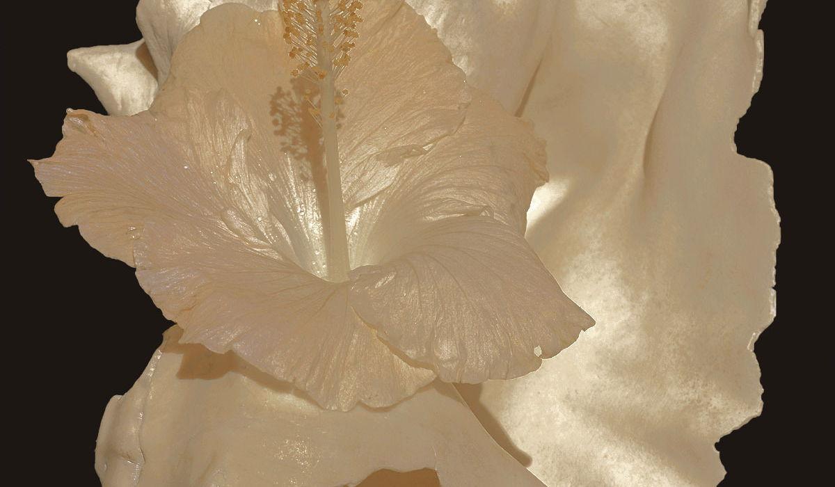 Footer image