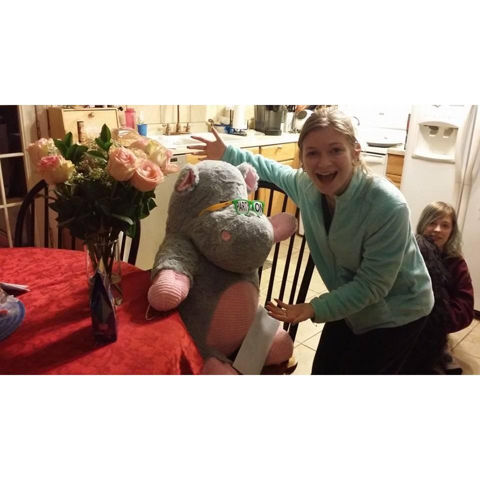 Herbert the Hippo! my valentine's gift