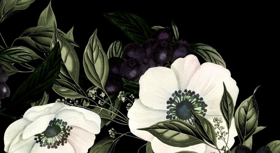 The Wedding Website of Carlos Ramos and Jennifer  Sweeting