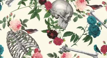 Footer image