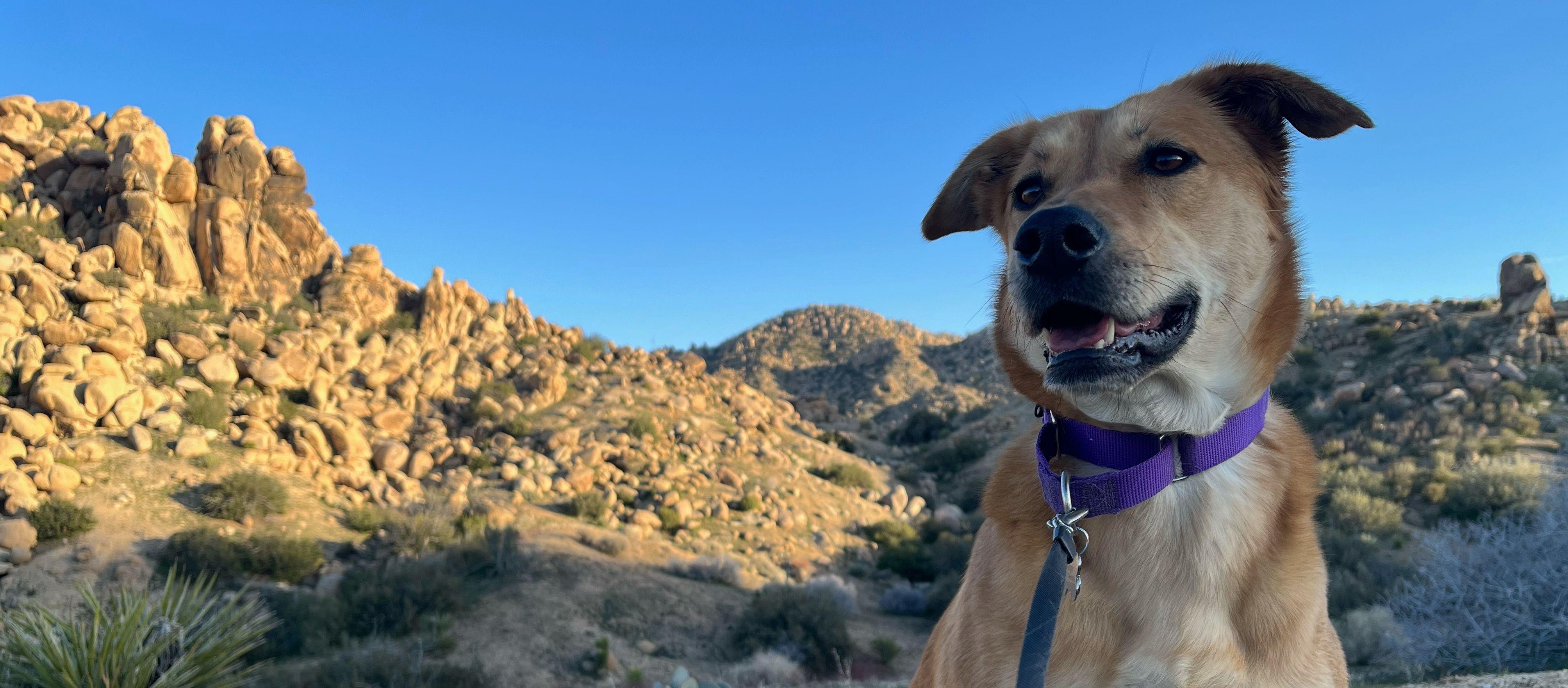 30051119-72b4-495e-ab36-b3ff54bd4c9f