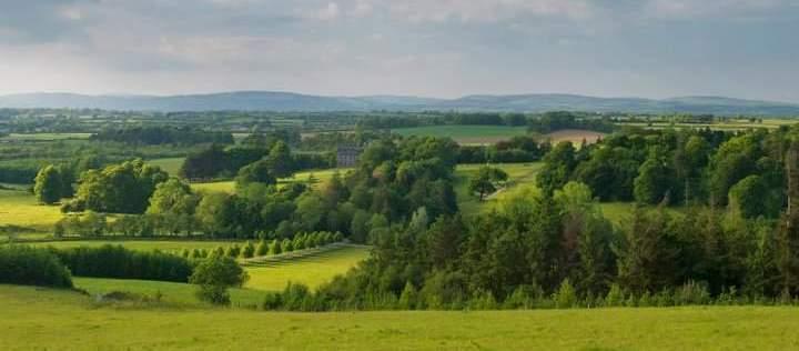 The Wedding Website of Christine A. Ryan and Russell E. Deutsch