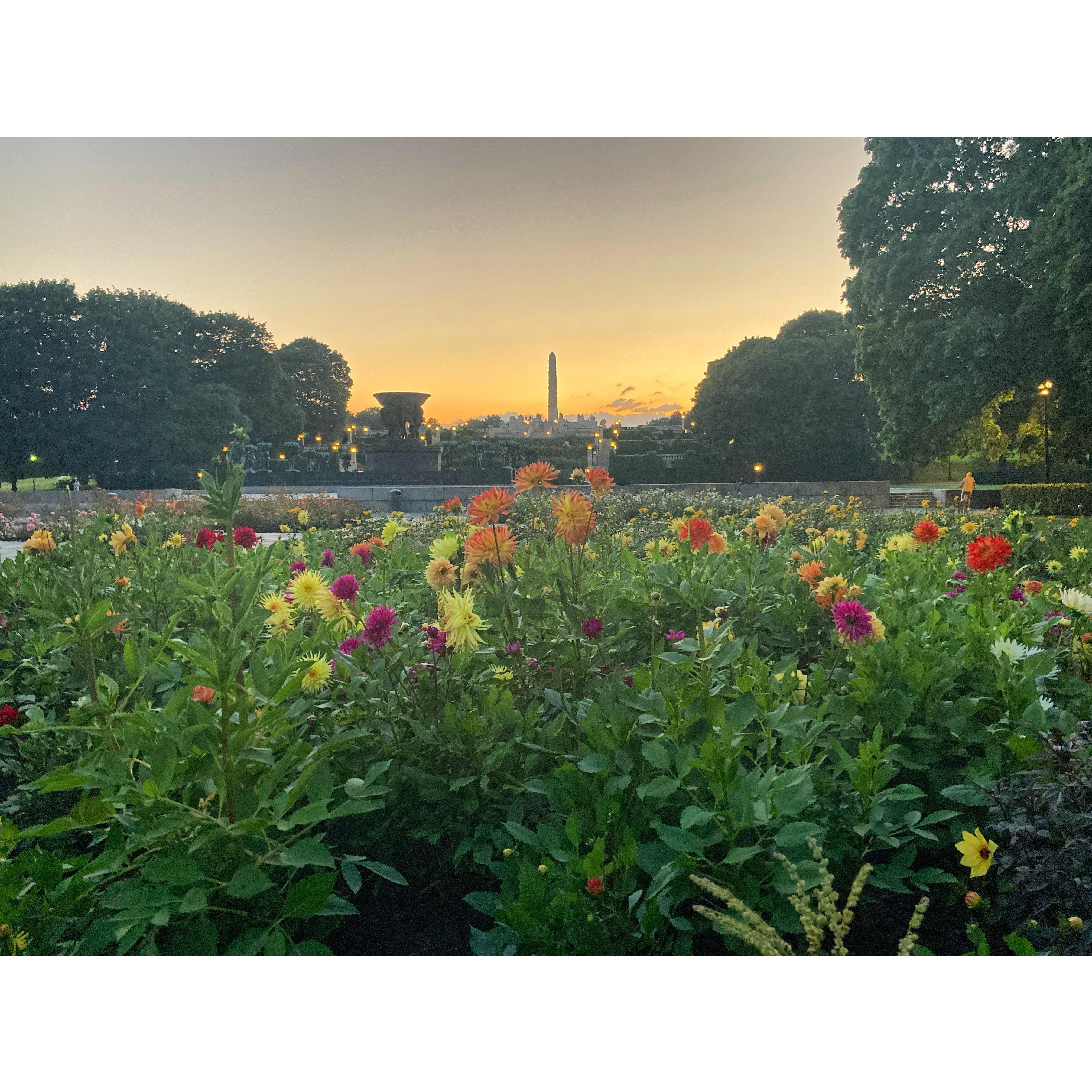 Stroll in Frognerparken during our first night after Jenna moved in August 2020.