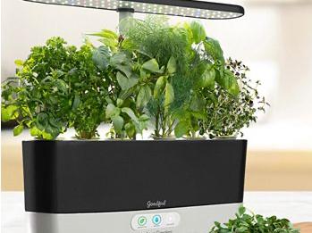 Goodful by by AeroGarden Countertop Garden & Gourmet Herbs Seed Kit