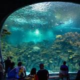 Seattle Waterfront and Aquarium