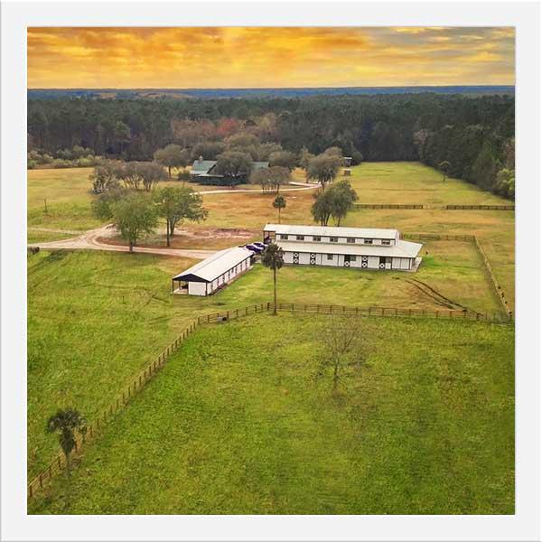 The Wedding Website of Grace Julia and Timothy Joseph Ciresi