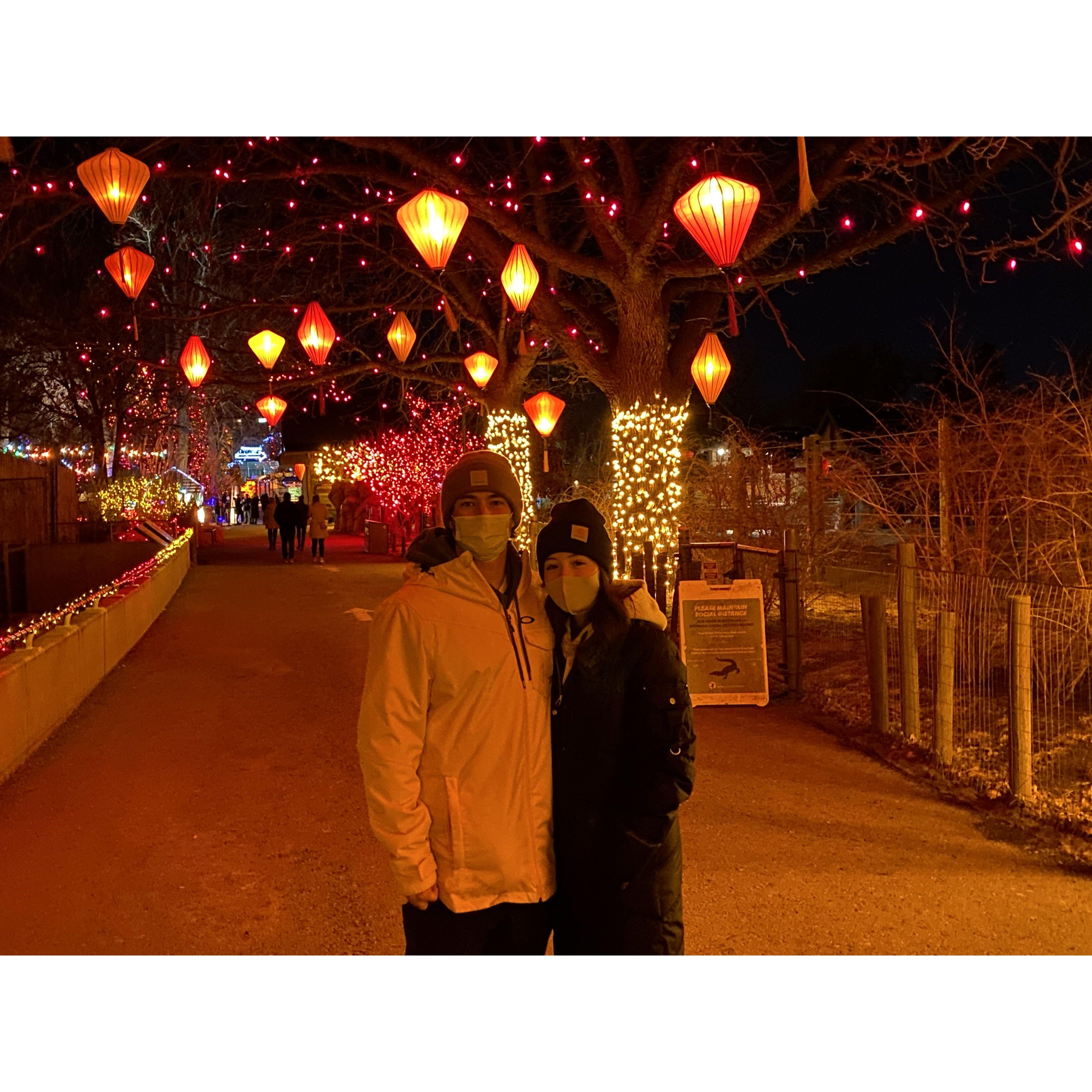 Denver Zoo Light 2021