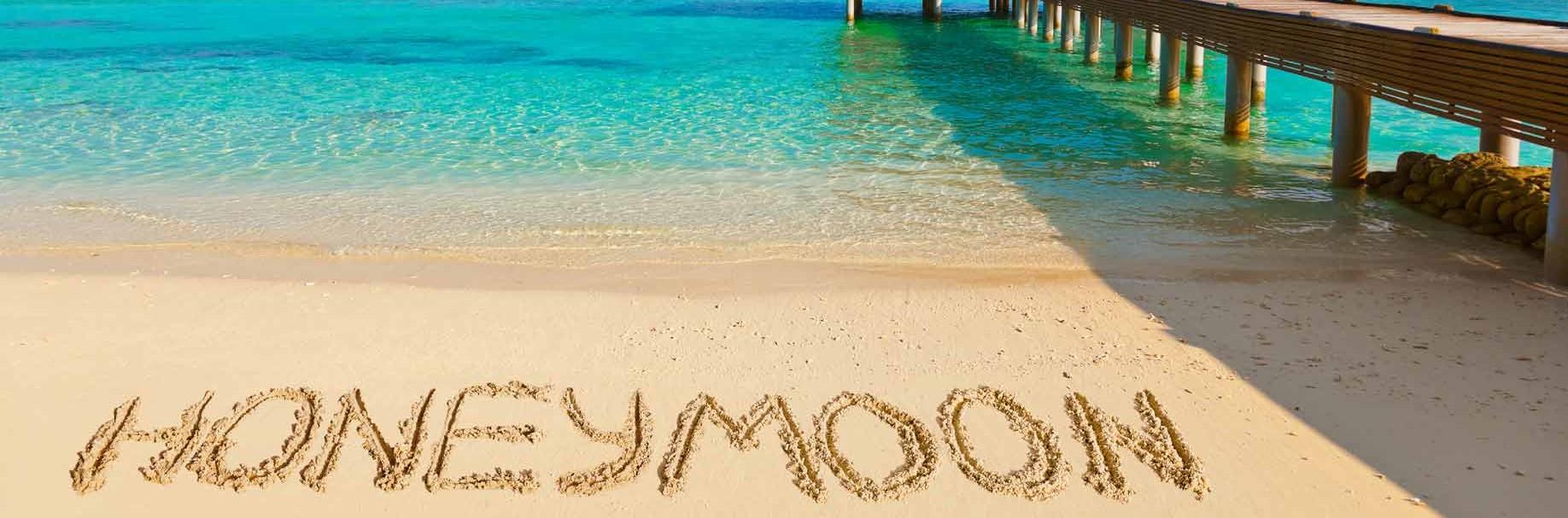 300e955f-4268-4f59-9741-b42de760f583