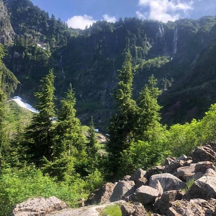PNW beauty