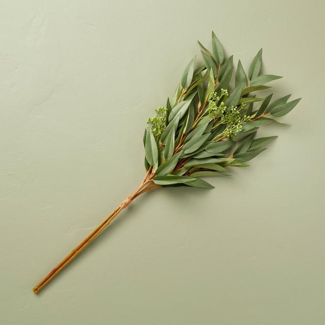 25" Faux Seeded Willow Leaf Stems Bundle - Hearth & Hand™ with Magnolia