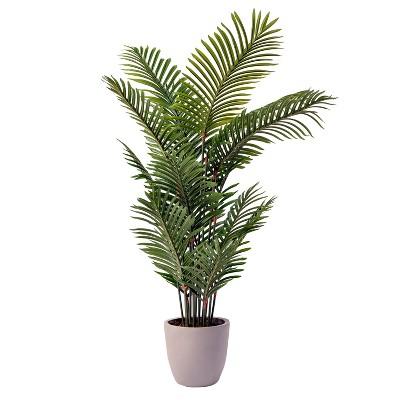 54" Potted Palm Plant - Lloyd & Hannah