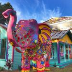 Safety Harbor