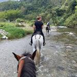 Horseback Riding and Mountain biking