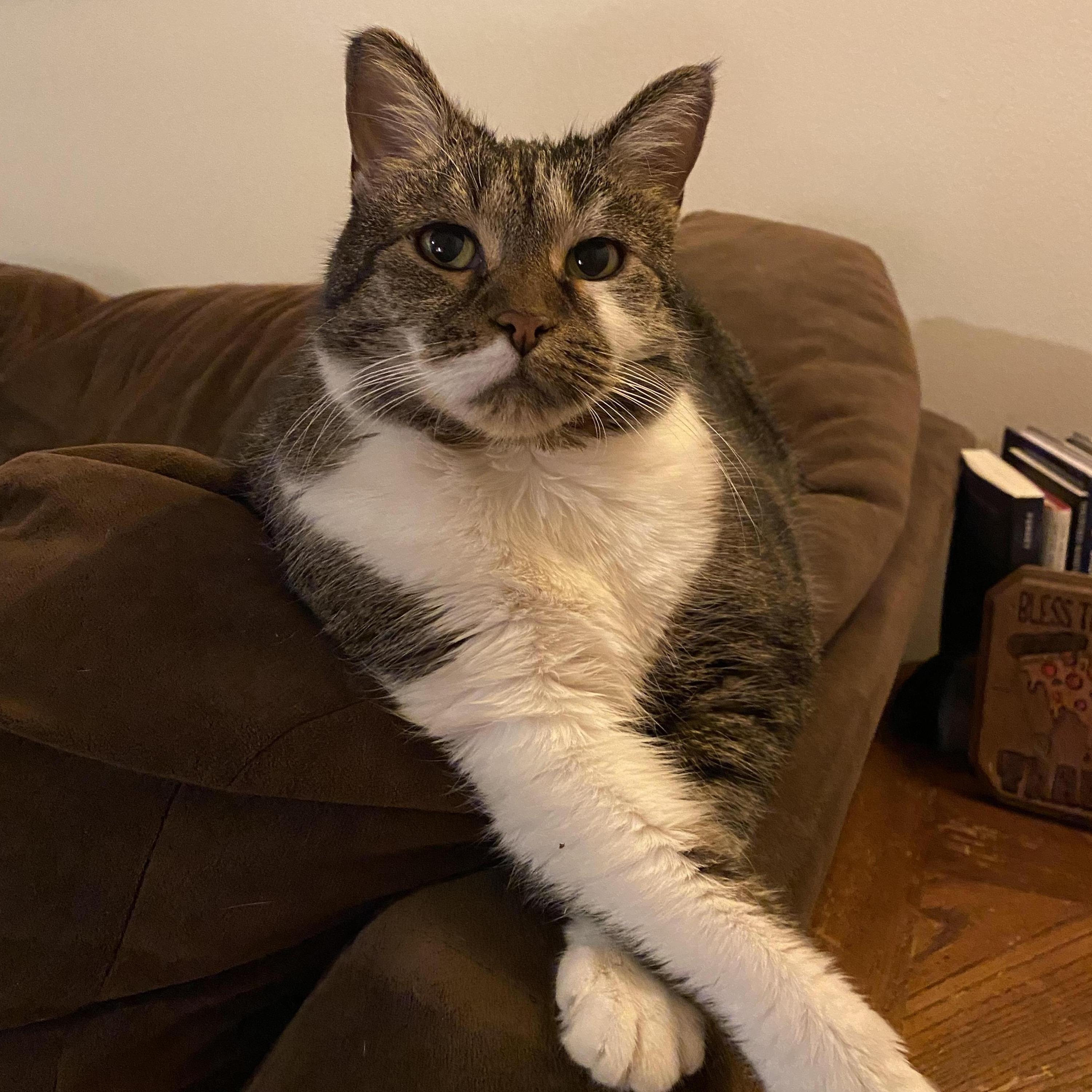 Bacon wishes she could come but will be watching from home.