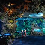 Shedd Aquarium