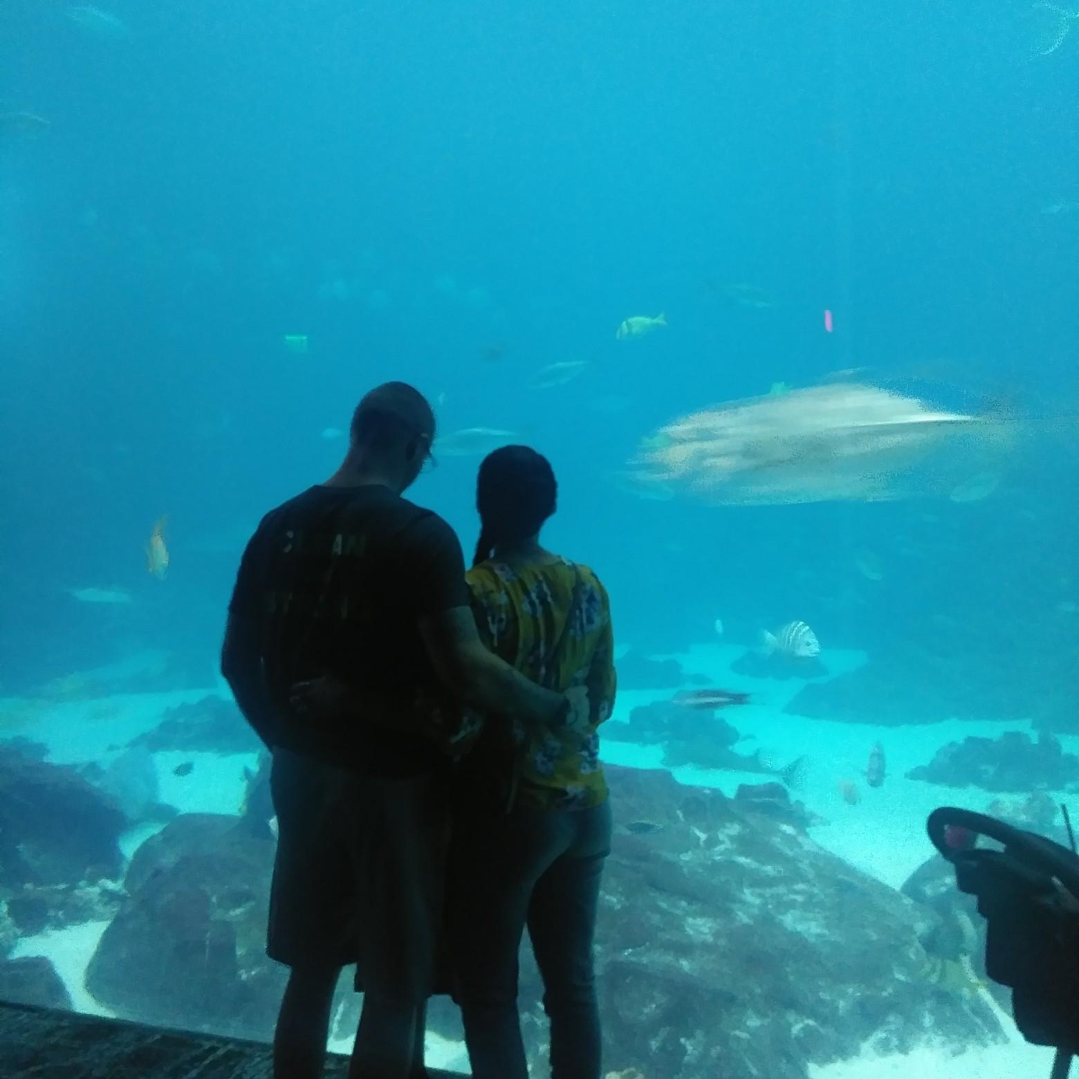 GA Aquarium - July 2019