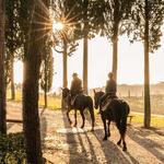 Tuscan Horseback Ride