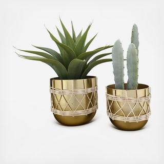 2-Piece Gold Plated Planter Set