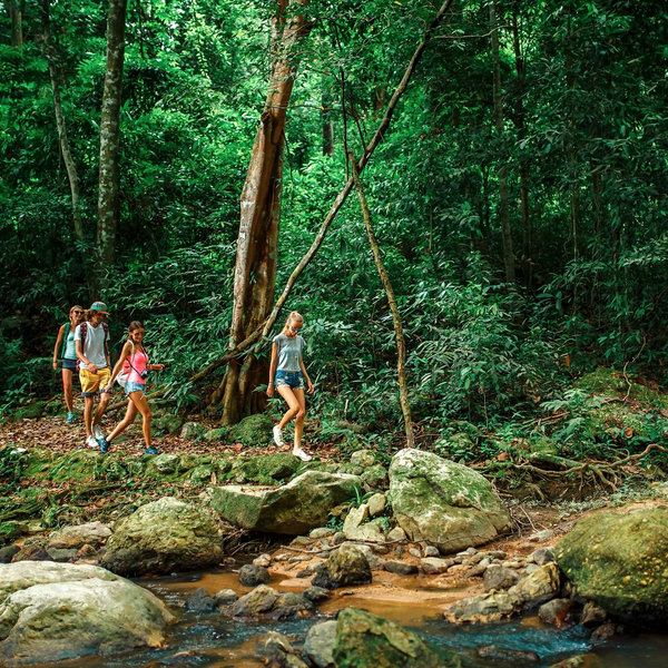 Jungle Expedition