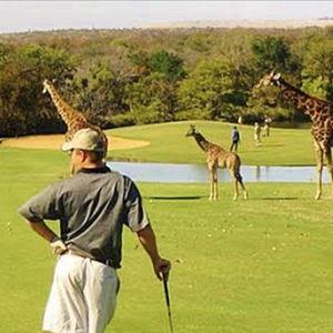 A Golf Day on Our African Honeymoon