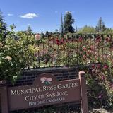 Municipal Rose Garden