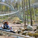 Wilderness Run Alpine Coaster