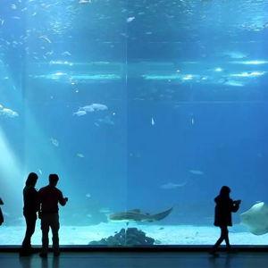 Tickets to AquaPlanet Jeju