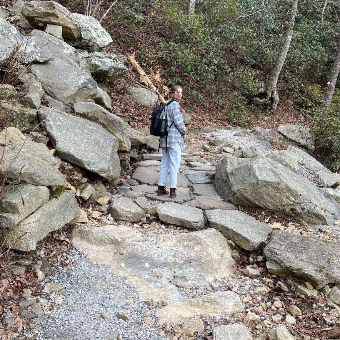 Chimney Rock State Park, SC. Hickory Nut Falls Trail.