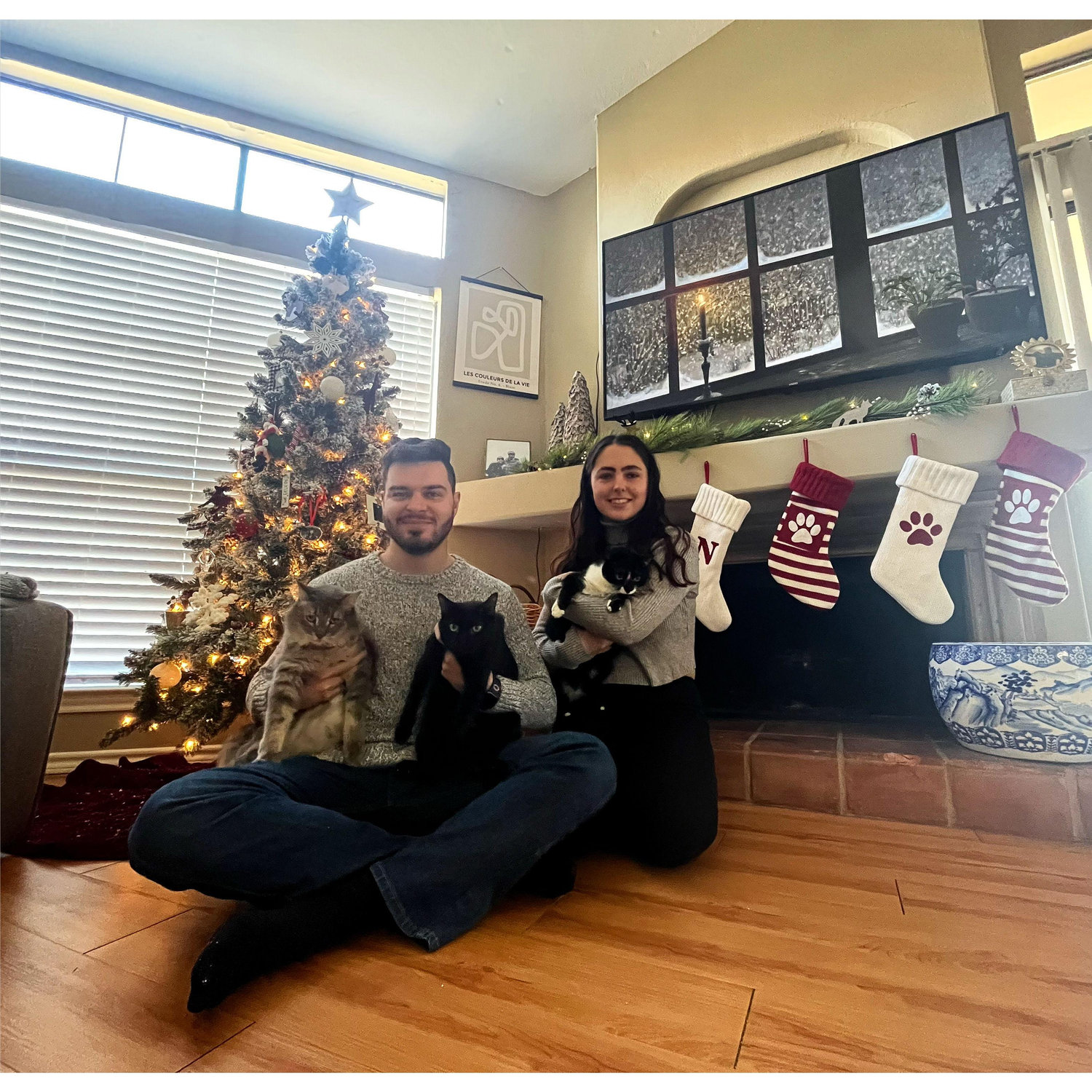 We're "crazy cat people"! We have 3 cats together Percy, Iris, and Magnus! Christmas 2022