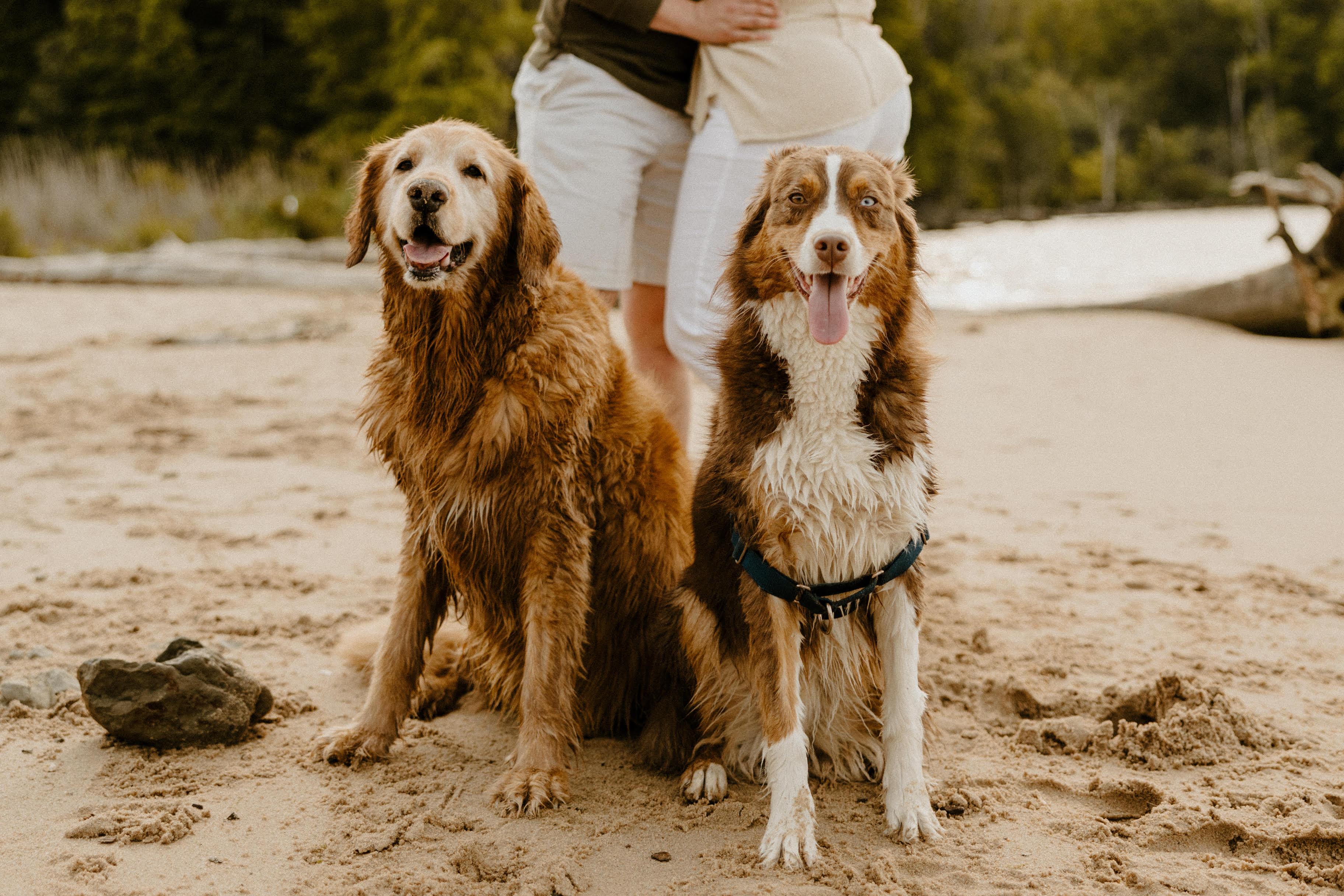 The Wedding Website of Kelsey Guarnera and Matthew Glover
