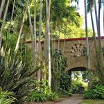 The Kampong, National Tropical Botanical Garden
