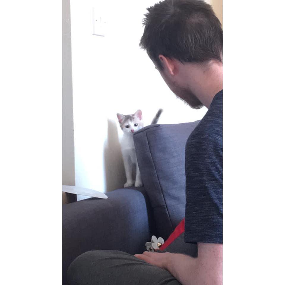 When we brought Luna home for the first time.
