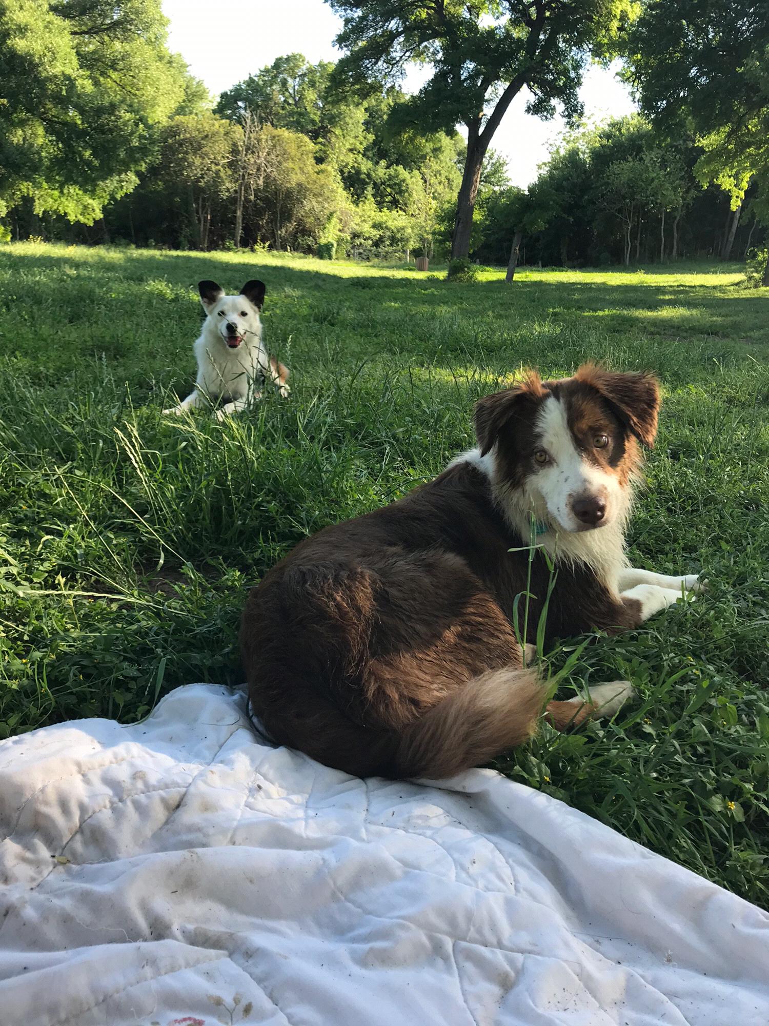 At our favorite neighborhood park