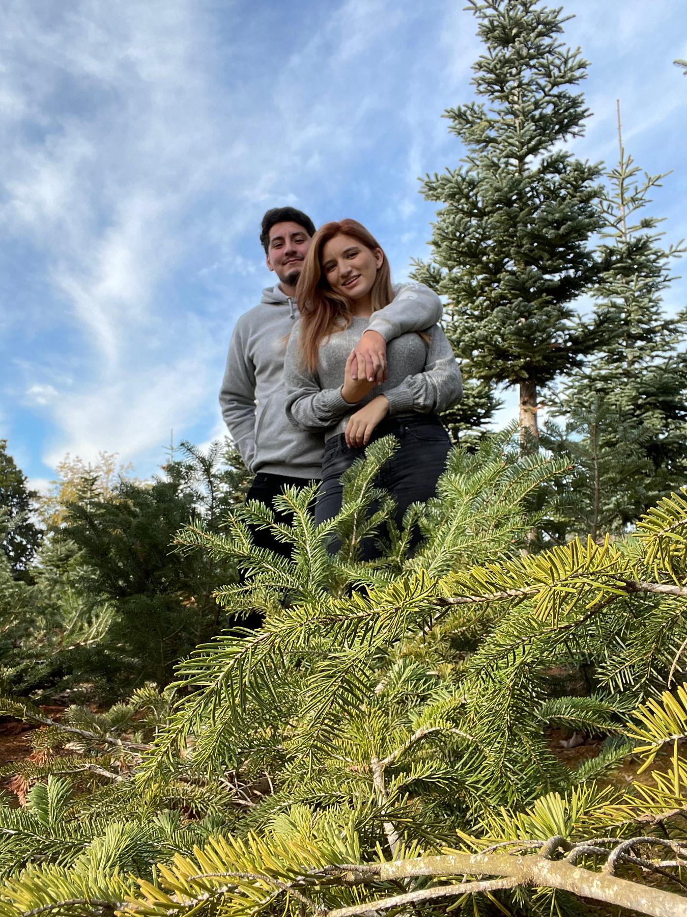 For our 11 month dating celebration we went to apple hill and horseback riding!