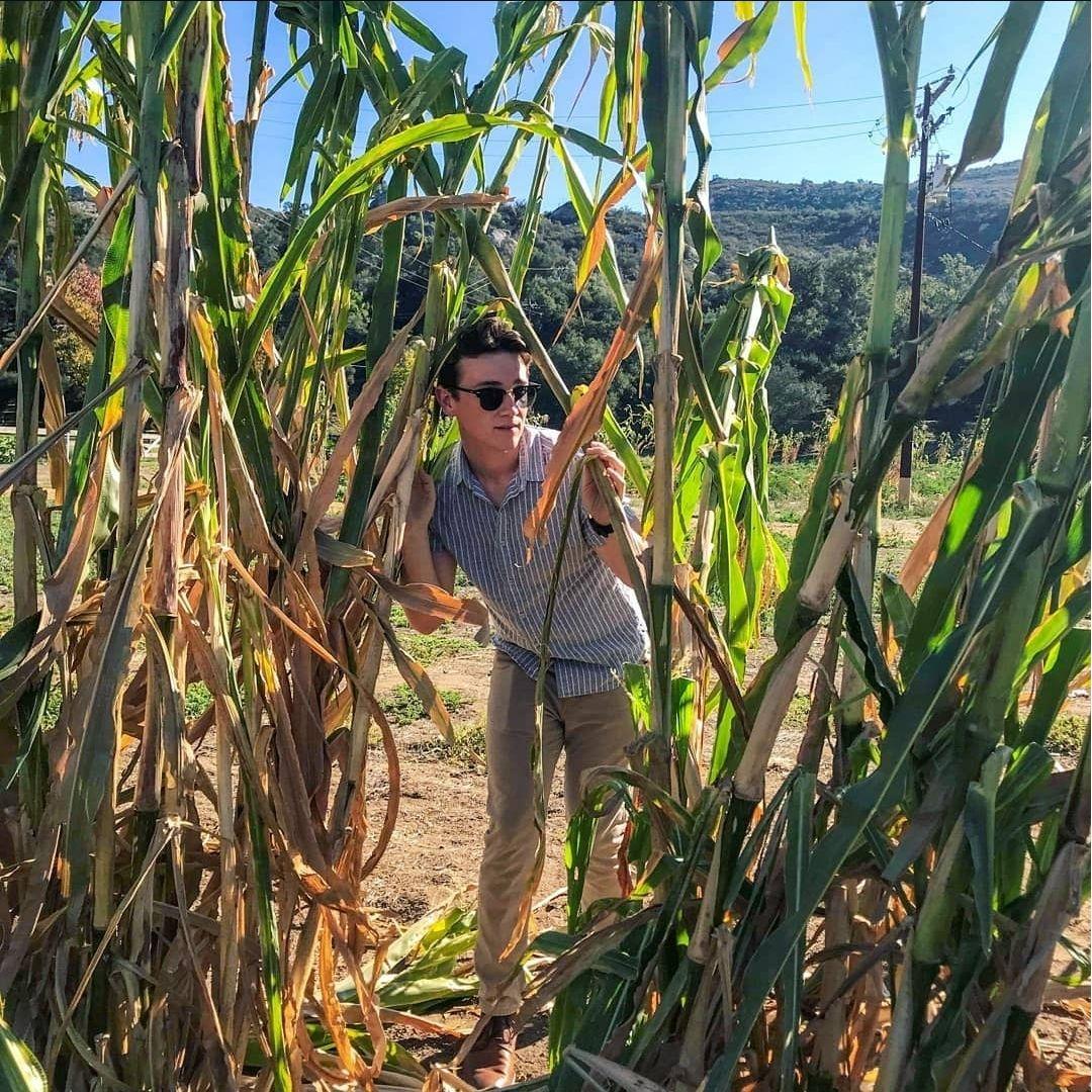 Finding my way out of the corn maze (2018)