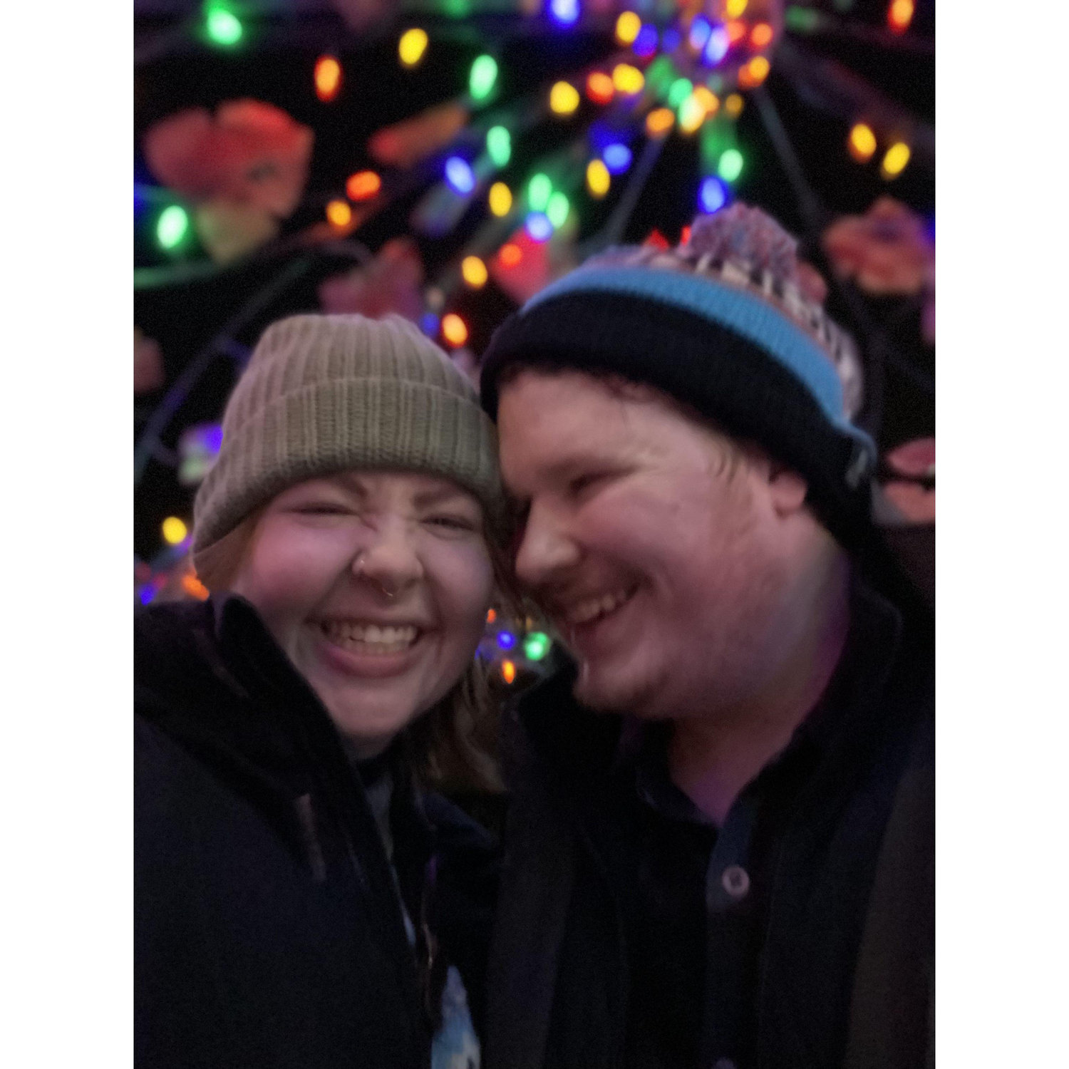Lights at the Arboretum